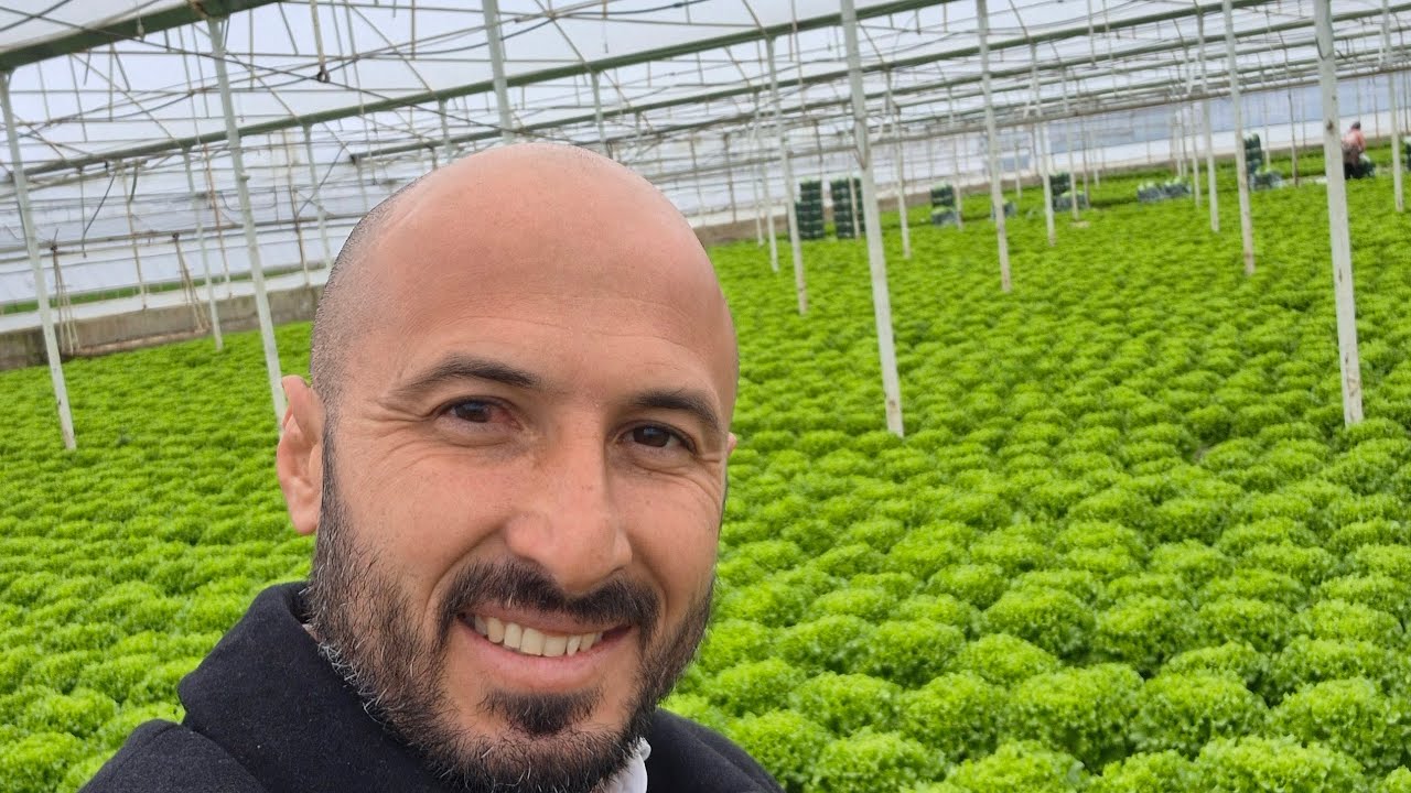 🥬🥬YEŞİLLİK SERASI🥬🥬WHİTE LİON YEŞİLLİĞİ SEVDİ😎MUHASEBE VE DEFTER TASDİK ÜCRETİ❗️