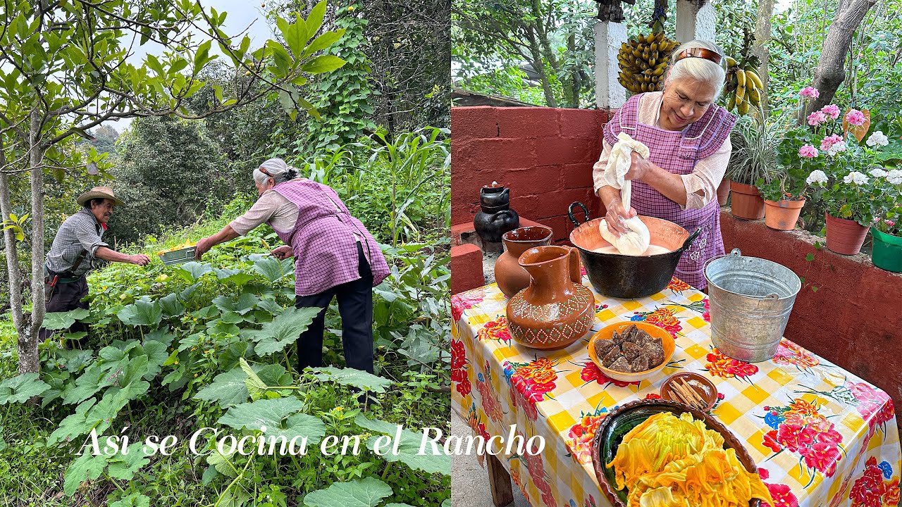 Vámos a la Milpa Les Voy Hacer un Verdadero Almuerzo de Rancho con Flor de Calabaza y Atole De Leche