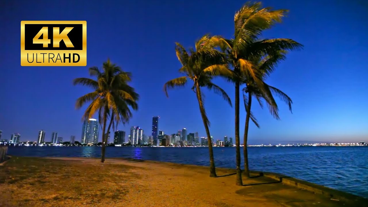 🌴 Miami Skyline at Dusk 4K | Coastal Ambience with Soft Jazz & Blues