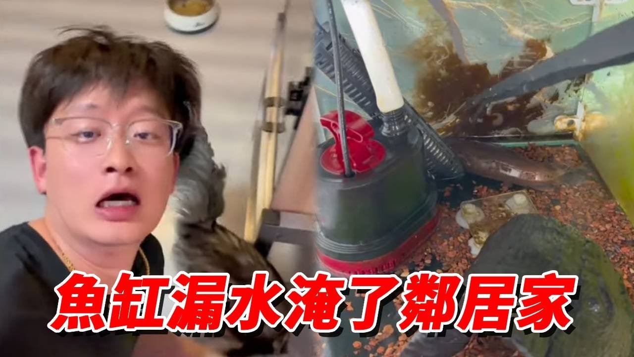 誰懂啊！魚缸漏水差點淹到鄰居家，忙到腳不沾地！【王小怪】