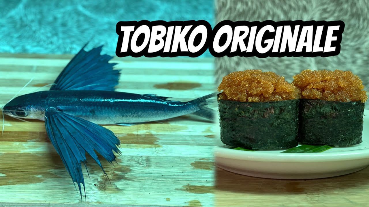 REAL TOBIKO FLYING FISH EGGS