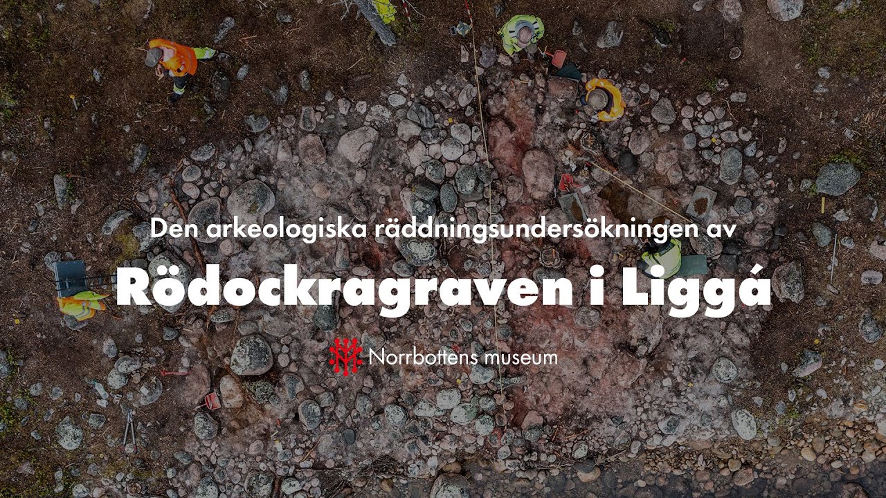 Rödockragraven i Liggá | Norrbottens museum