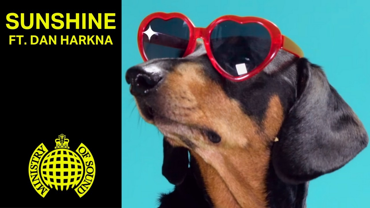 TIEKS - Sunshine ft Dan Harkna (Official Music Video) | Ministry of Sound