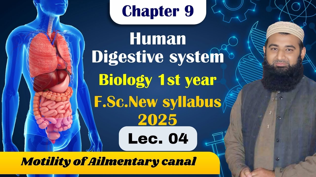 Motility of Ailmentary canal | Human digestive system | Chapter 9| F.Sc. 1st Year Biology | Lec# 4