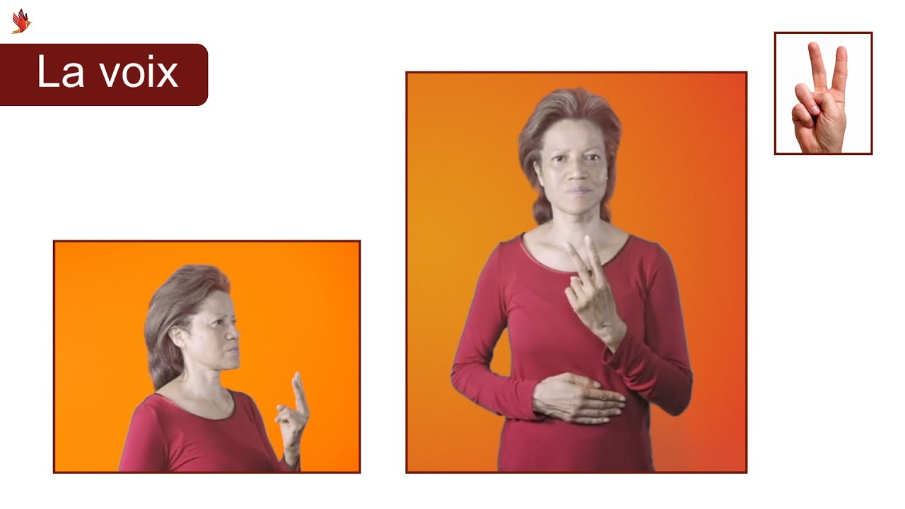 Comment dit-on La VOIX en langue des signes ?