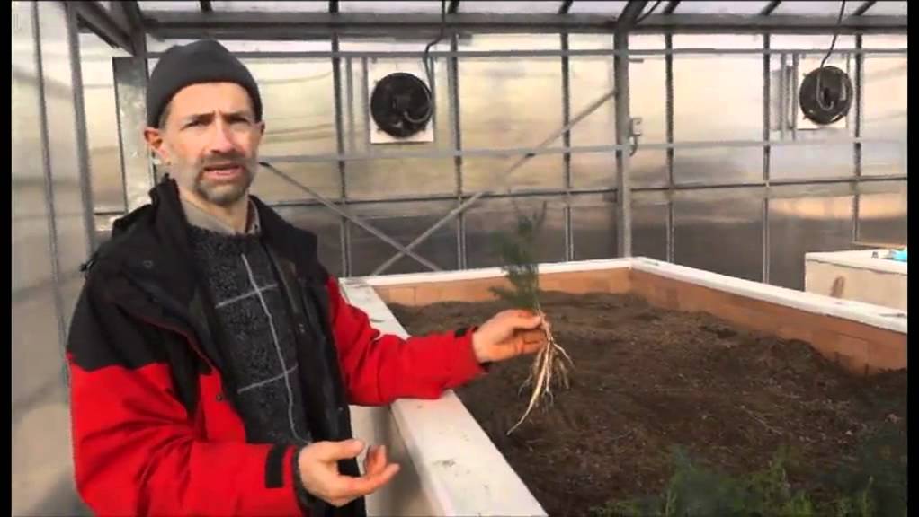 Olivo Asparago selvatico, Pollo rustico - Video Giovanni Duca