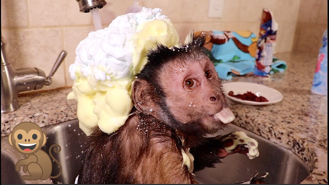 Monkey Foamy Fun Bath Time! WITH TASTY TREATS