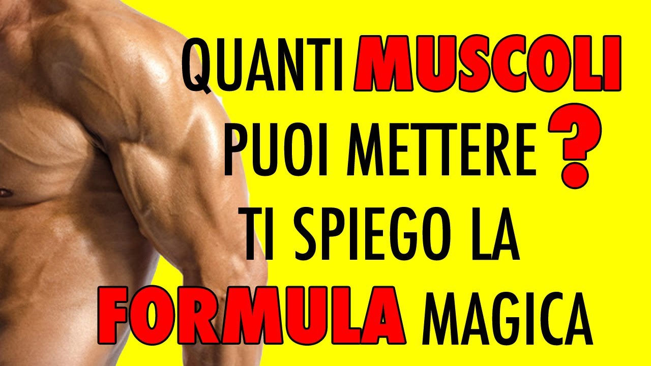 👌 QUANTO PUOI DIVENTARE MUSCOLOSO? 💪 LA REALTA' DEI FATTI!