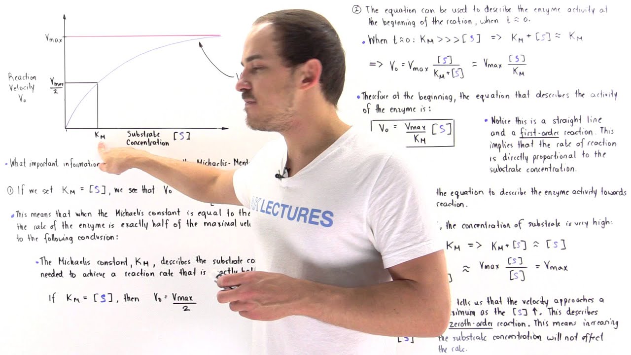 Interpretation of Michaelis-Menten Equation