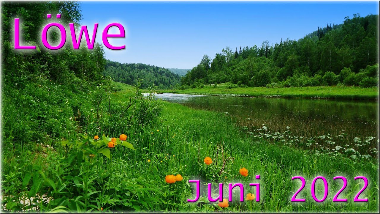 ♌ L&ouml;we - Juni 2022 ♌  -  Schadensbegrenzung  -
