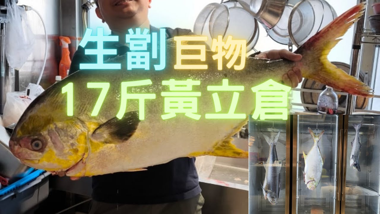 生劏勁大黃立倉🔥17斤重,原條熟成~fishcutting香港海鮮~社長遊街市Seafood