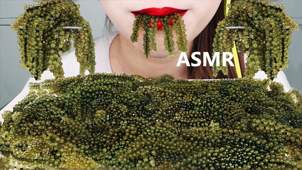 ASMR SEA GRAPE 바다포도 리얼사운드 먹방 nho biển, 海ぶどう, anggur laut, 海葡萄 MUKBANG EATING SOUNDS