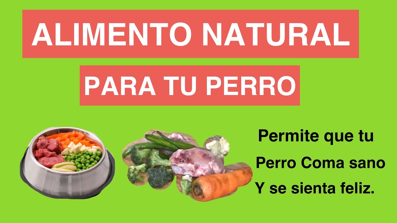 ALIMENTO NATURAL PARA TU PERRO.SHIHTZU