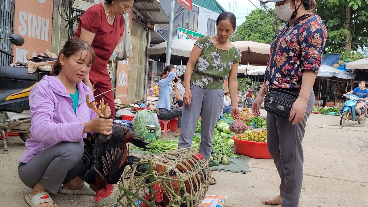 I knit cages, to keep chickens to go to the market to sell.  (Episode 76).