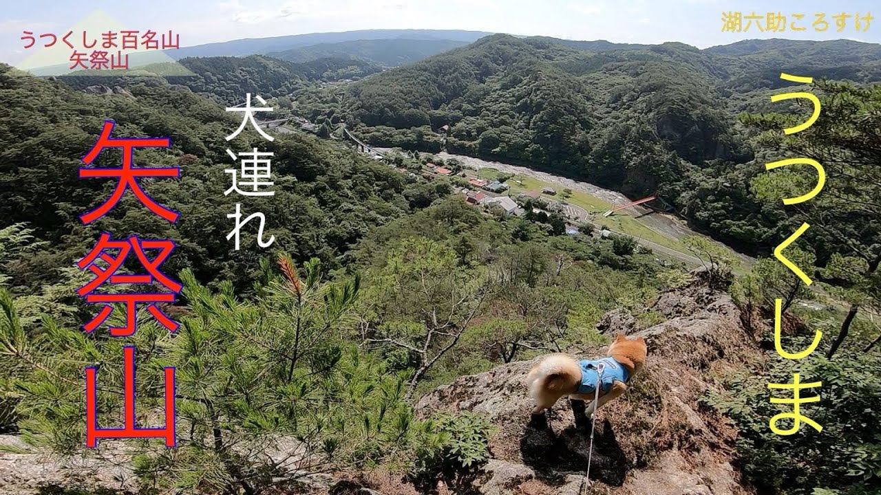【うつくしま百名山】矢祭山　#矢祭山　#柴犬 #犬連れ登山