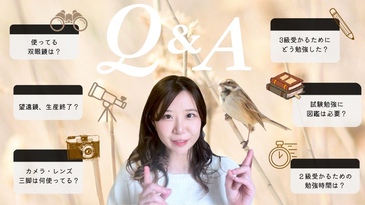【Q&A】コメントで多かった質問に答えます！