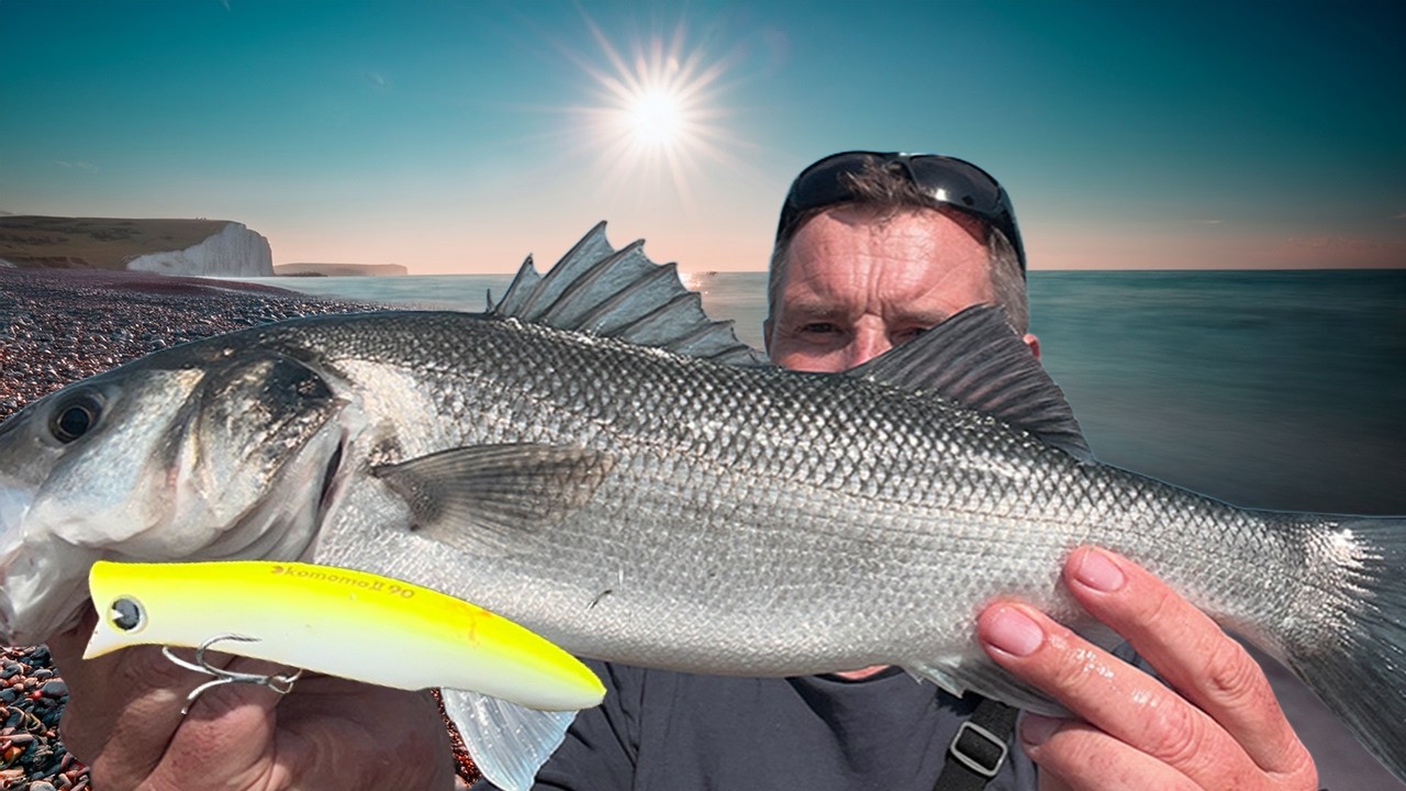 BASS Mystery Solved - Lure SWITCH Worked