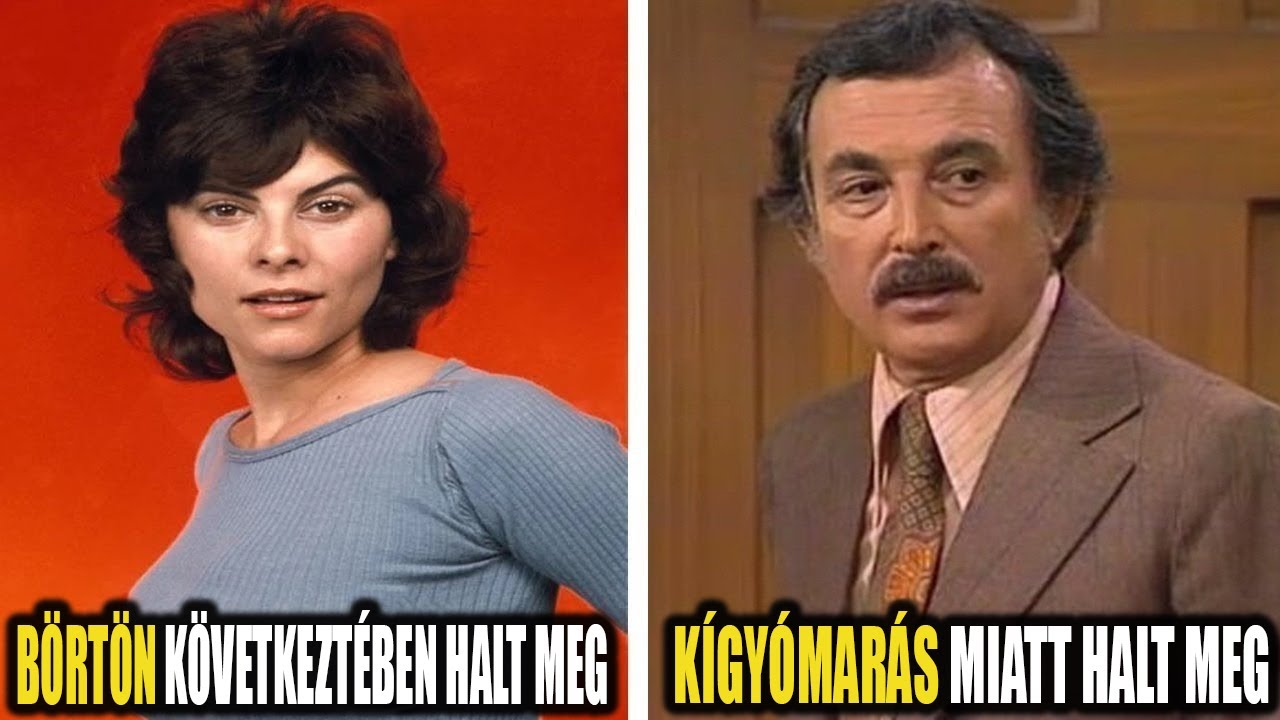 Maude (1972–1978): A szereplők akkor és most 2026 – Hol tartanak ma?