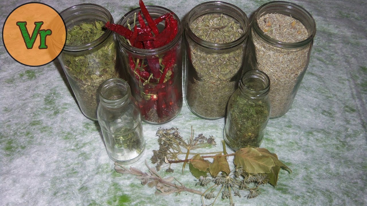 Comment sécher les plantes aromatiques en préservant leur valeur nutritionnelle