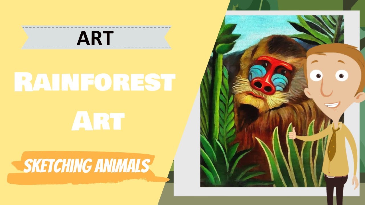 Rainforest Art - Animal drawings (Primary School Art Lesson)