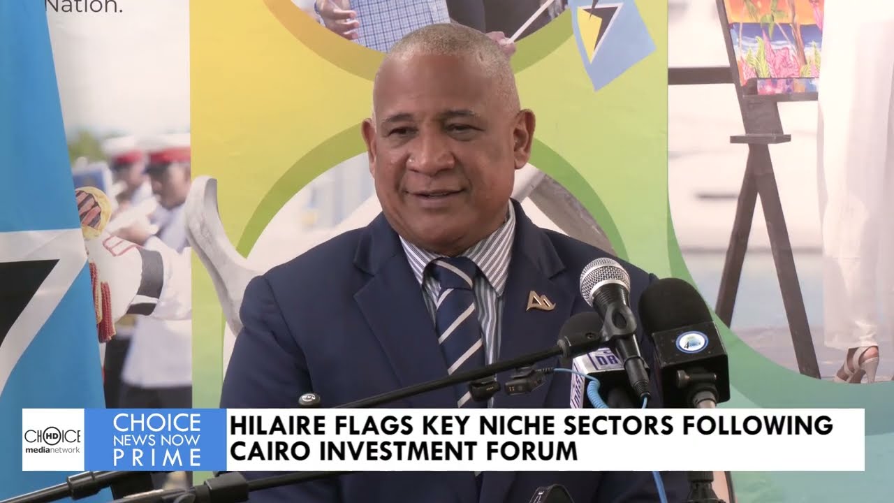 Компания HILAIRE выделяет ключевые нишевые секторы после Каирского инвестиционного форума.