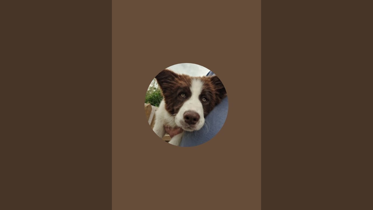 ASMR - Driving / TRAVELLING ZEFF uk is live