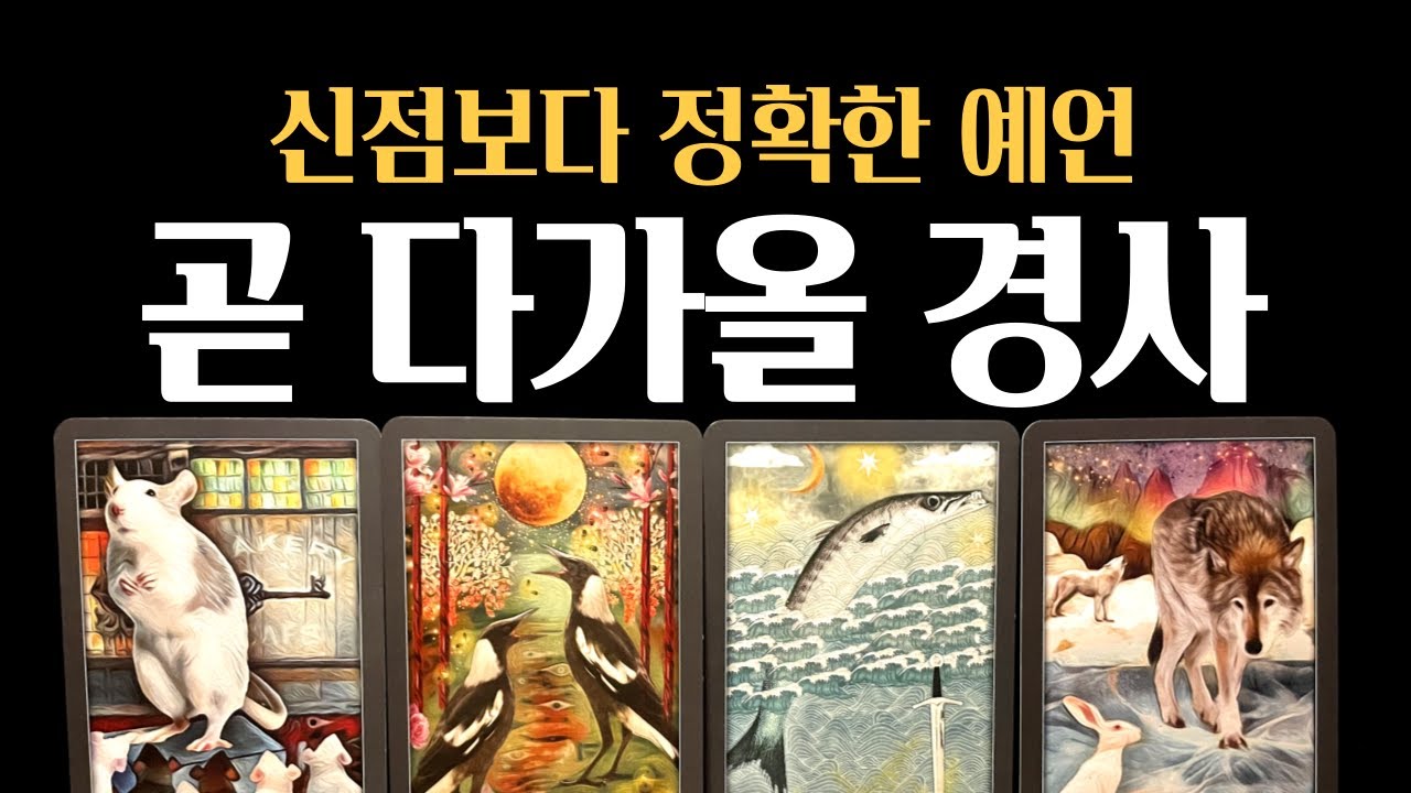 [타로] 🌙하늘의 신호❗ 3개월 내 쏟아질 인생 경사
