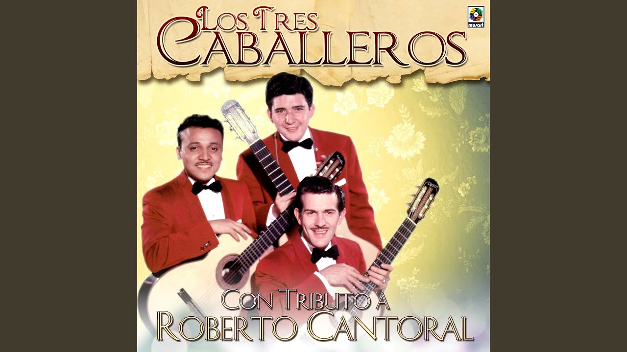 Alitas Rotas