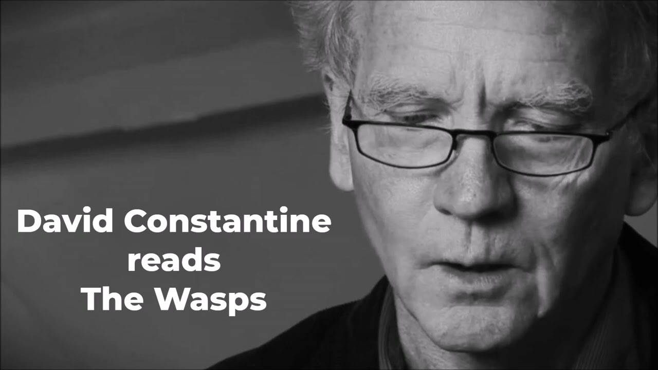 DAVID CONSTANTINE reads 