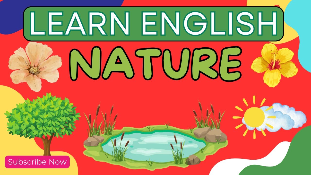 50 Nature Words : Useful Nature Vocabulary in English /#nature #englishvocabulary