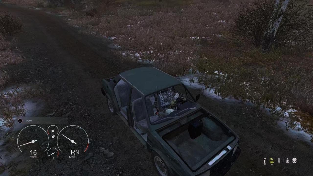 DayZ_20260228073512