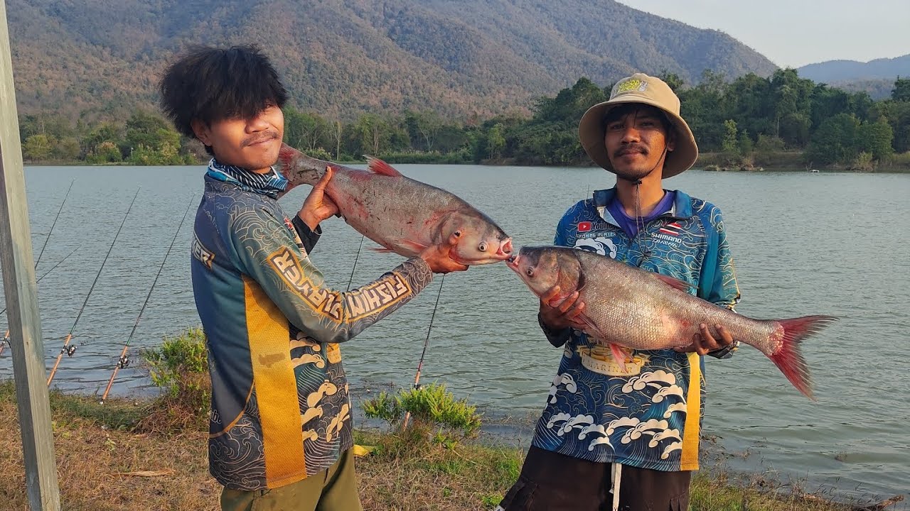 ตกปลาจีน มีแต่ไซส์บิ๊กๆ หมายธรรมชาติ อ่าง เด่นมืด แม่วะ อำเภอ เถิน จังหวัด ลำปาง #ฟิชชิ่งplayer 