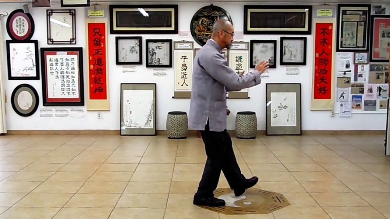 Wu Style Tai Chi Chuan - Master Henry Cheng -  ShortForm , Facing viewer