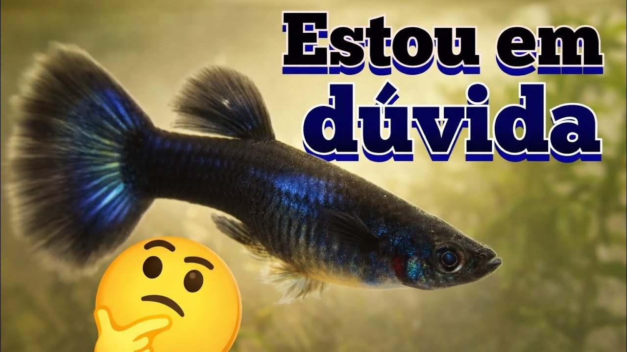 Será que achei um híbrido? 🤔