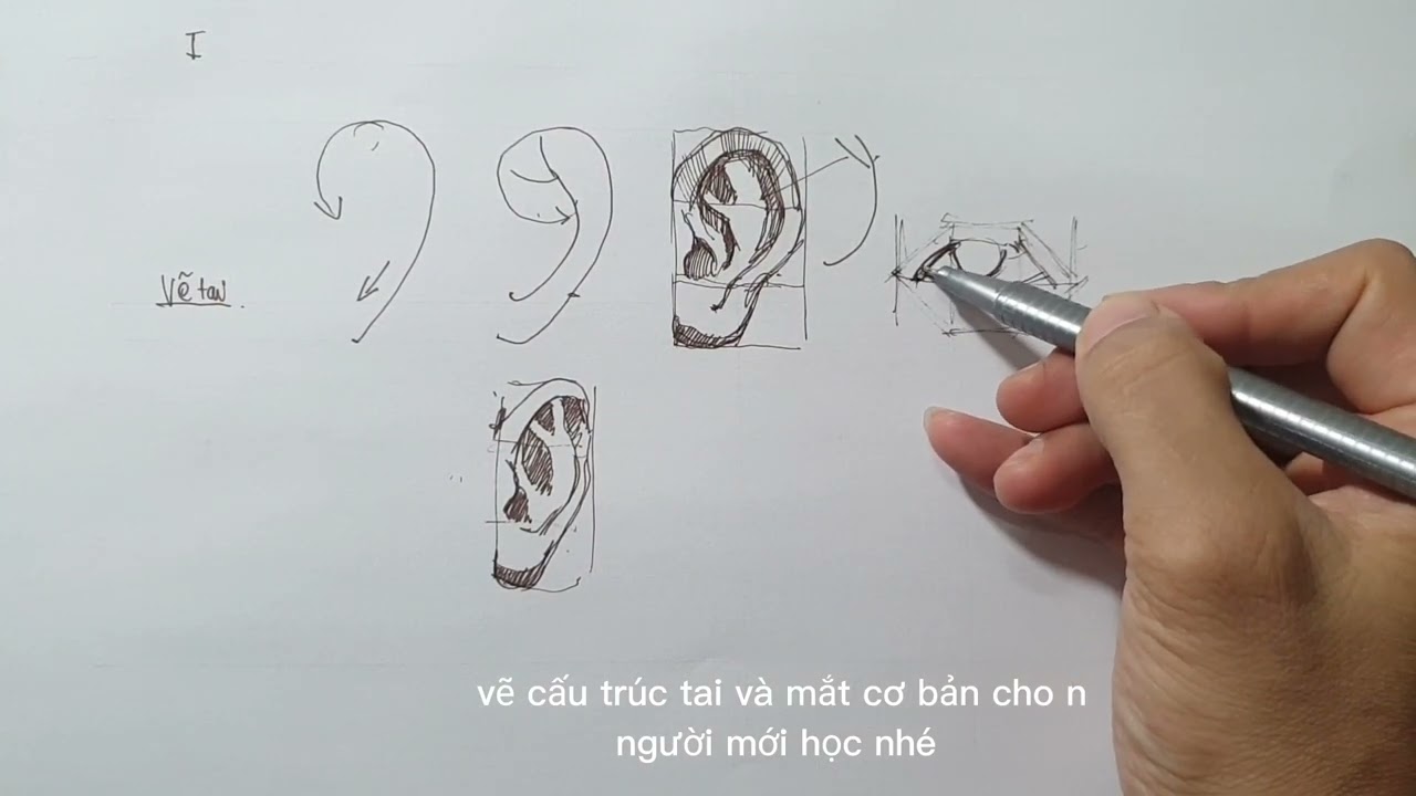 cách vẽ tai mắt cơ bản cho người mới  bắt đầu nhé #art #drawing #hocvecoban