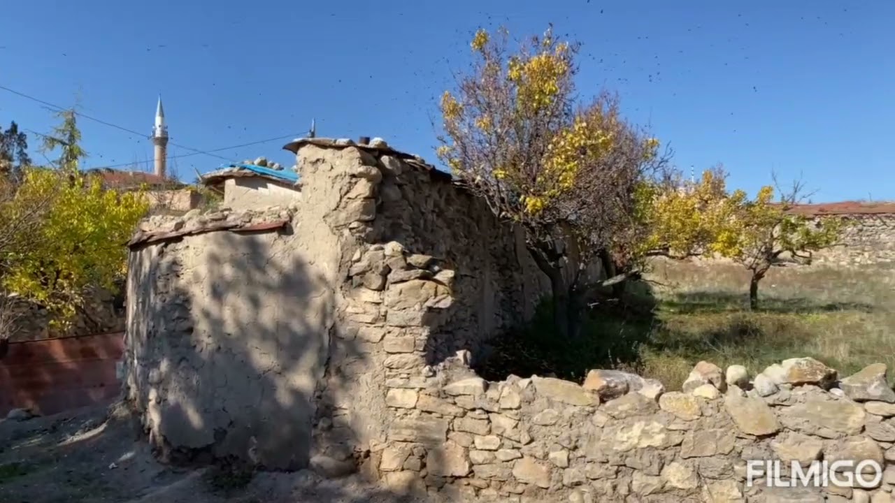 BABA YURDU NE UNUTURLUR NE DE VAZGEÇİLİR