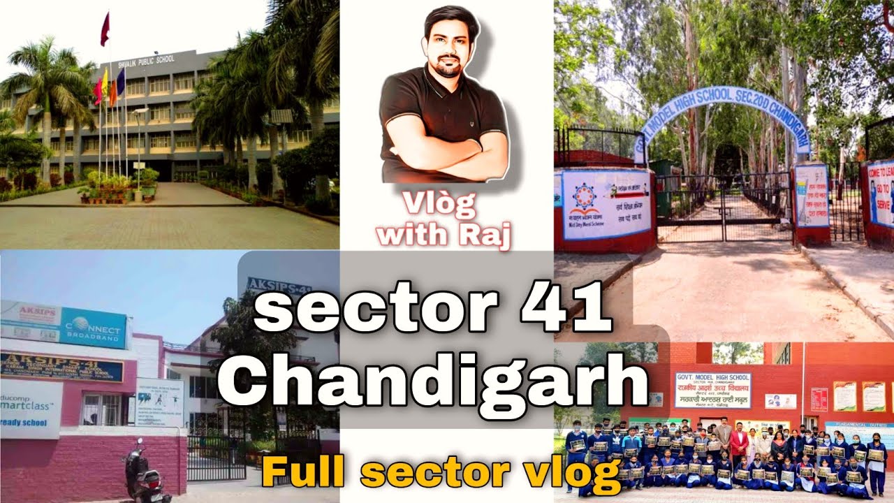 Chandigarh sector 41 | sector vlog in Chandigarh | All information of sector 41 Chandigarh |