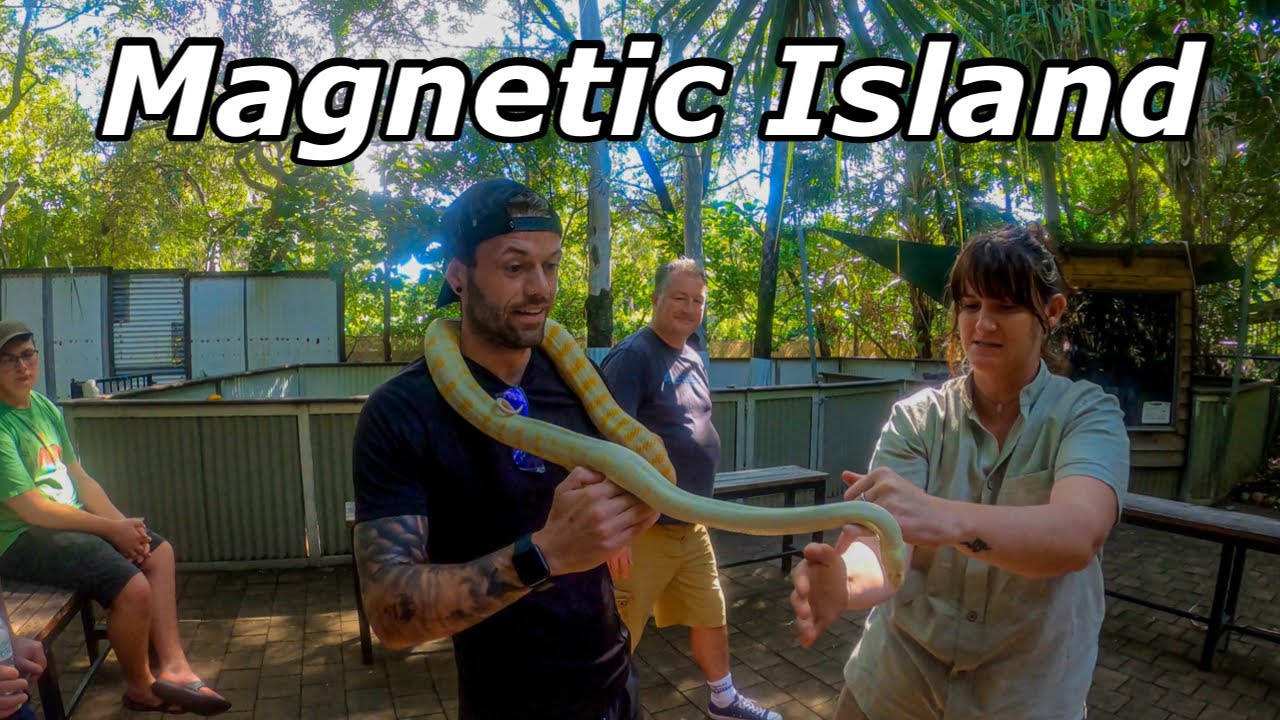 What To Do On Magnetic Island? | Experience Australian Wildlife | EP17
