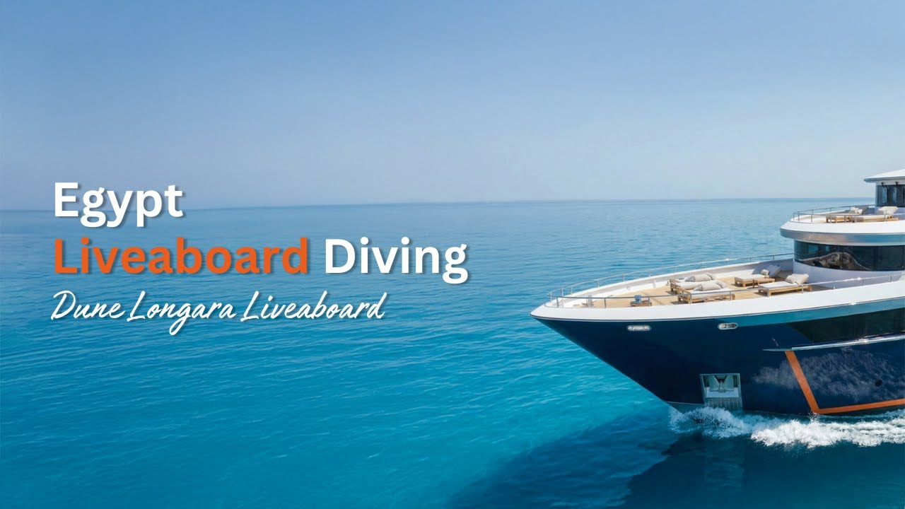 Dune Longara Liveaboard — Teaser Video