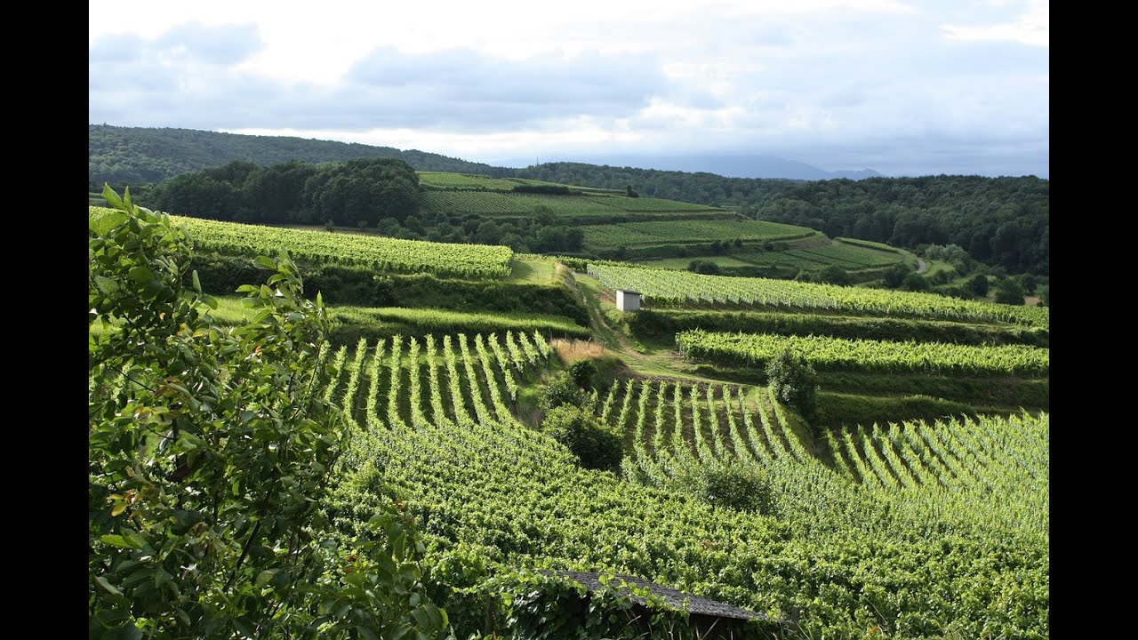 Brackenheim und Umgebung