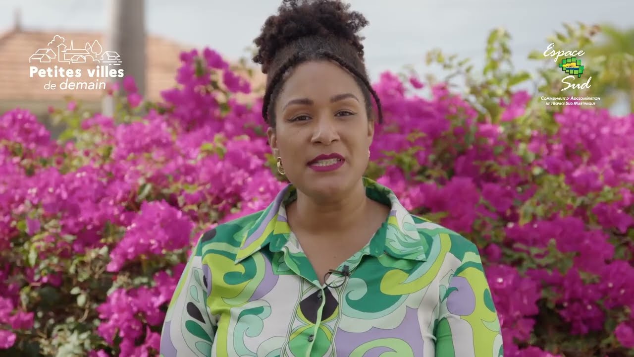 “Petites villes de demain” - Espace Sud Martinique