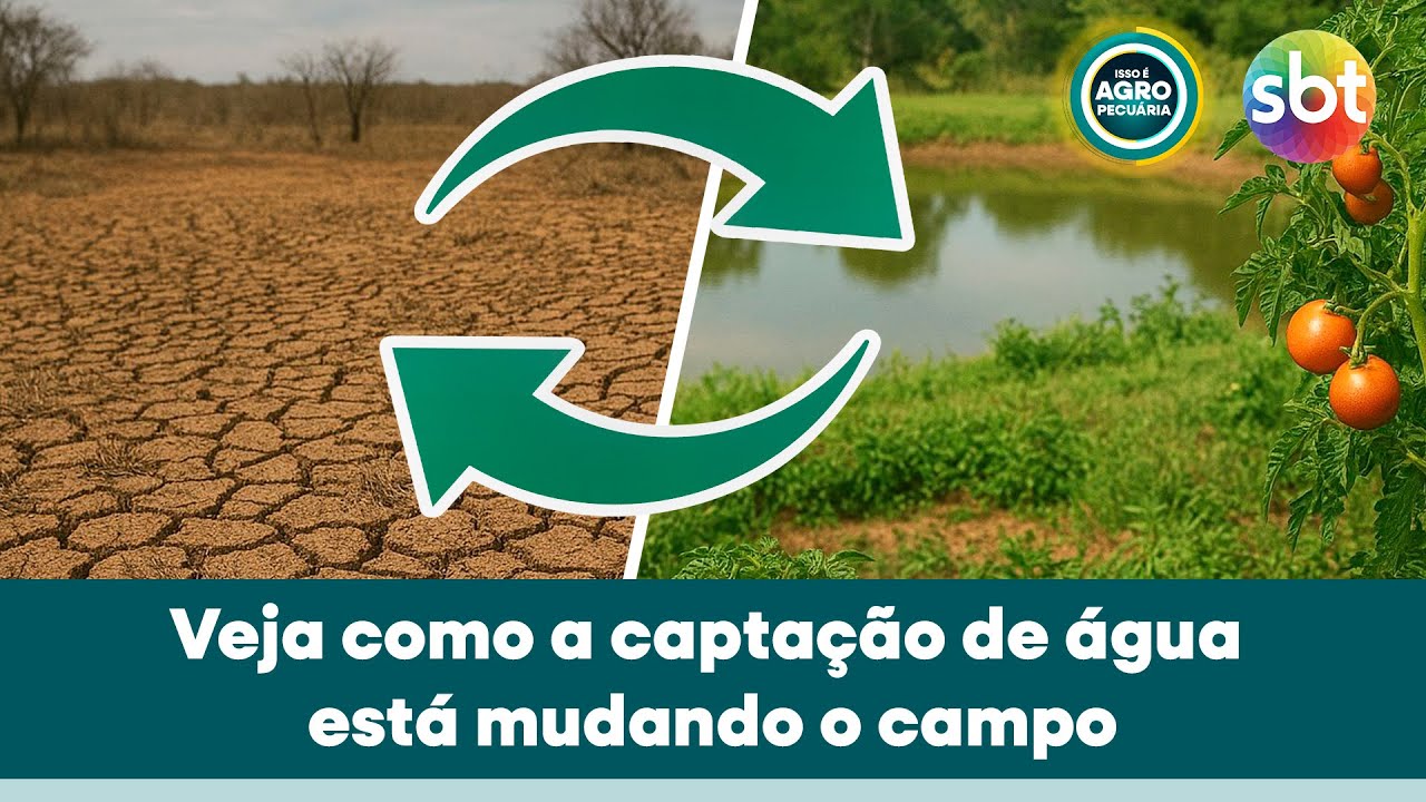 Projeto das Barraginhas ensina como Plantar Água no campo