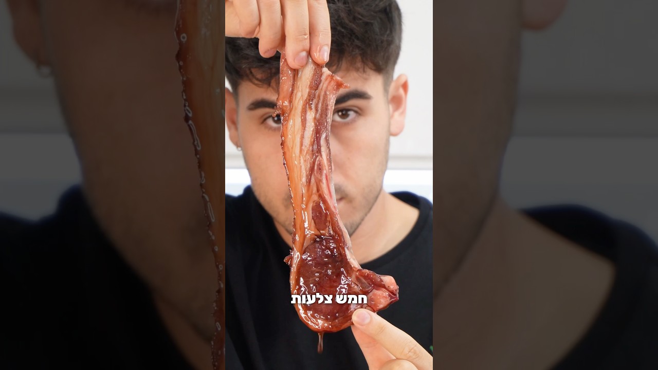5 צלעות ב-5 דרכים 🤯🥩#אוכל #ארוחתערב #בישול #מתכון #בשר