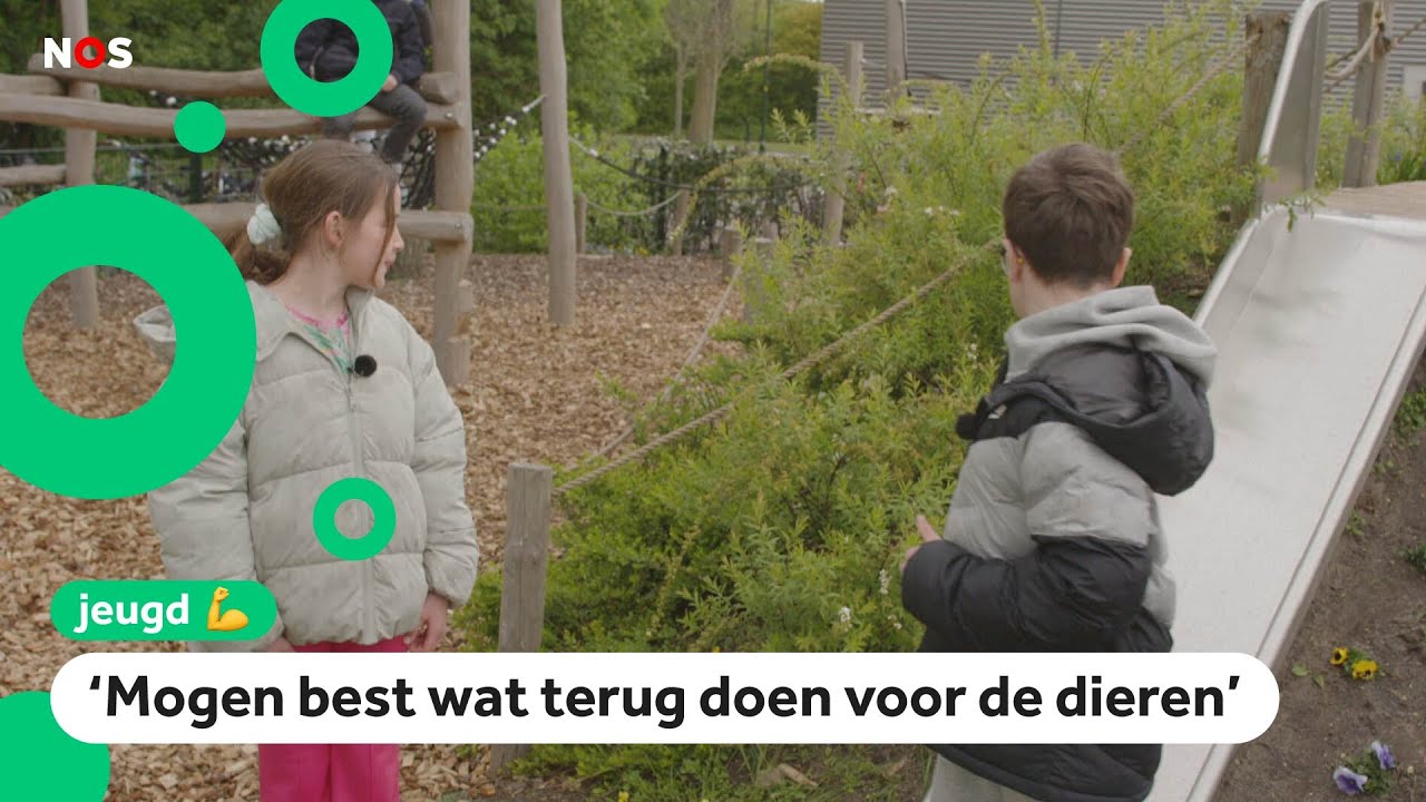 Deze school heeft een groen schoolplein
