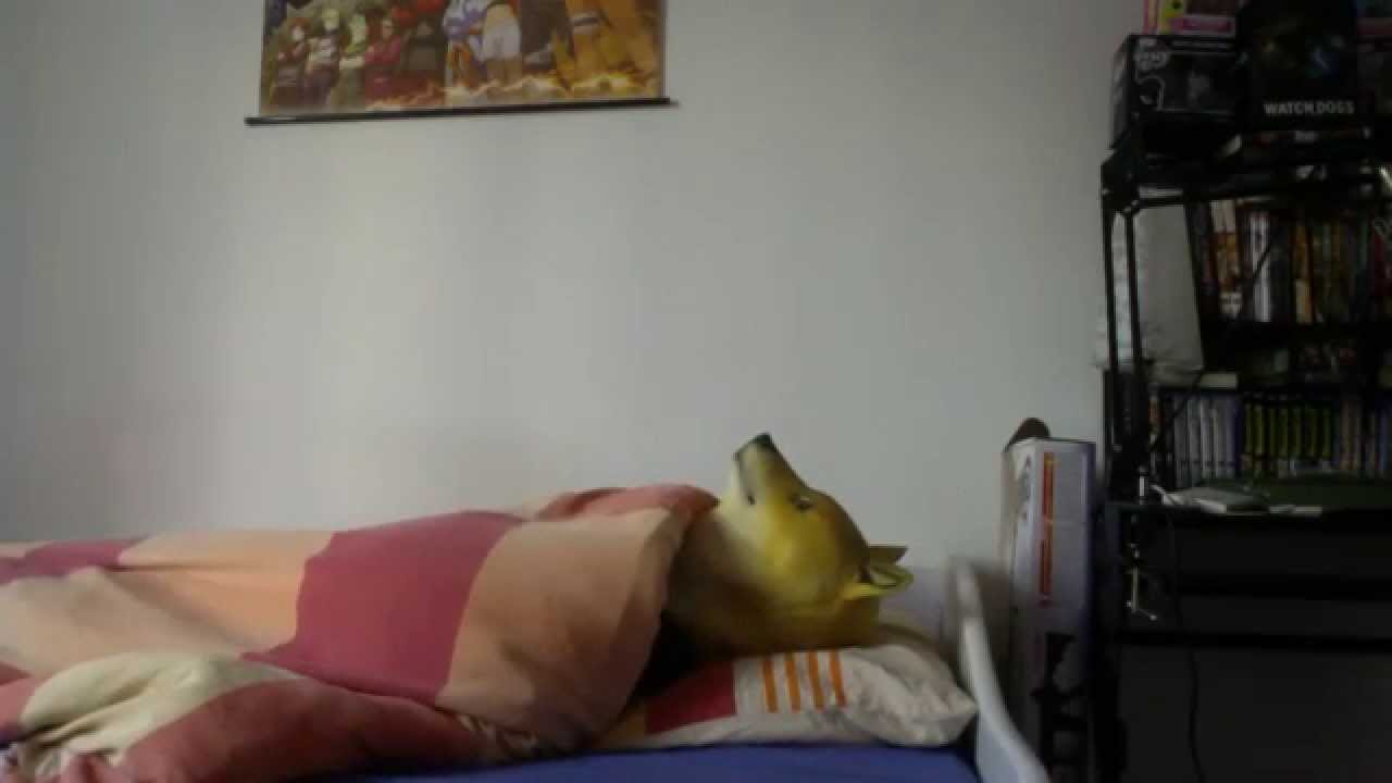 doge can only sleep /w banana (nsfw : doge's butt)