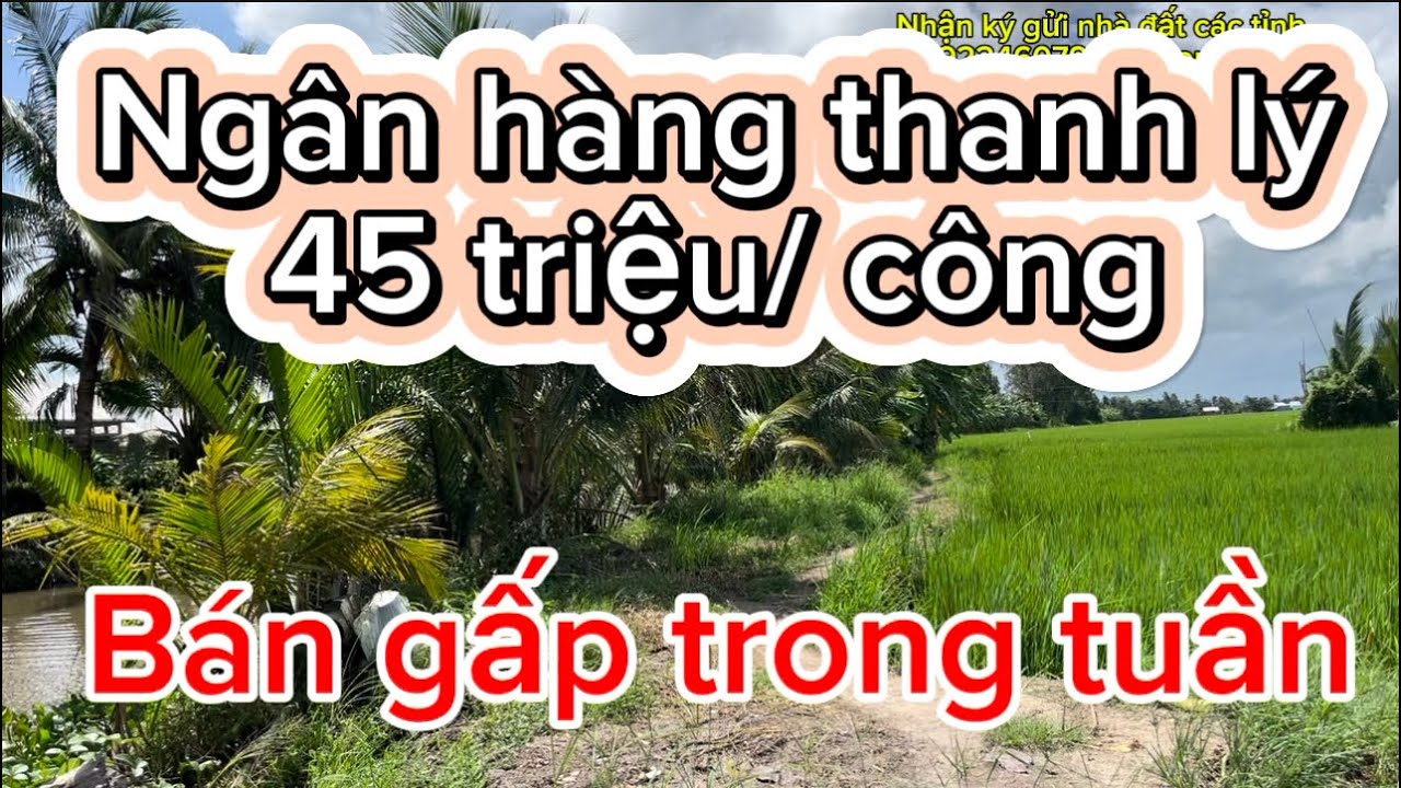 Ngân hàng thanh lý 45 triệu/ công, bán gấp trong tuần, LH 0792246079 gặp Long đẹp trai