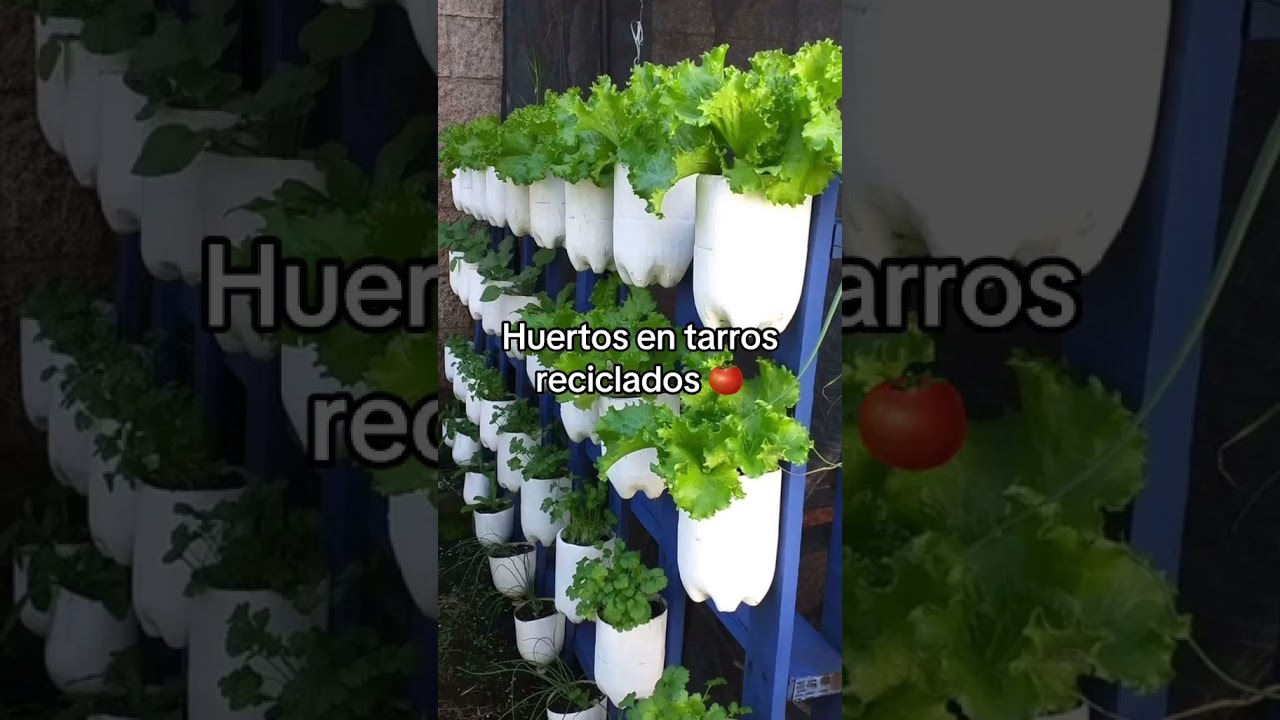 4 ideas geniales para hacer un huerto en casa #huertas