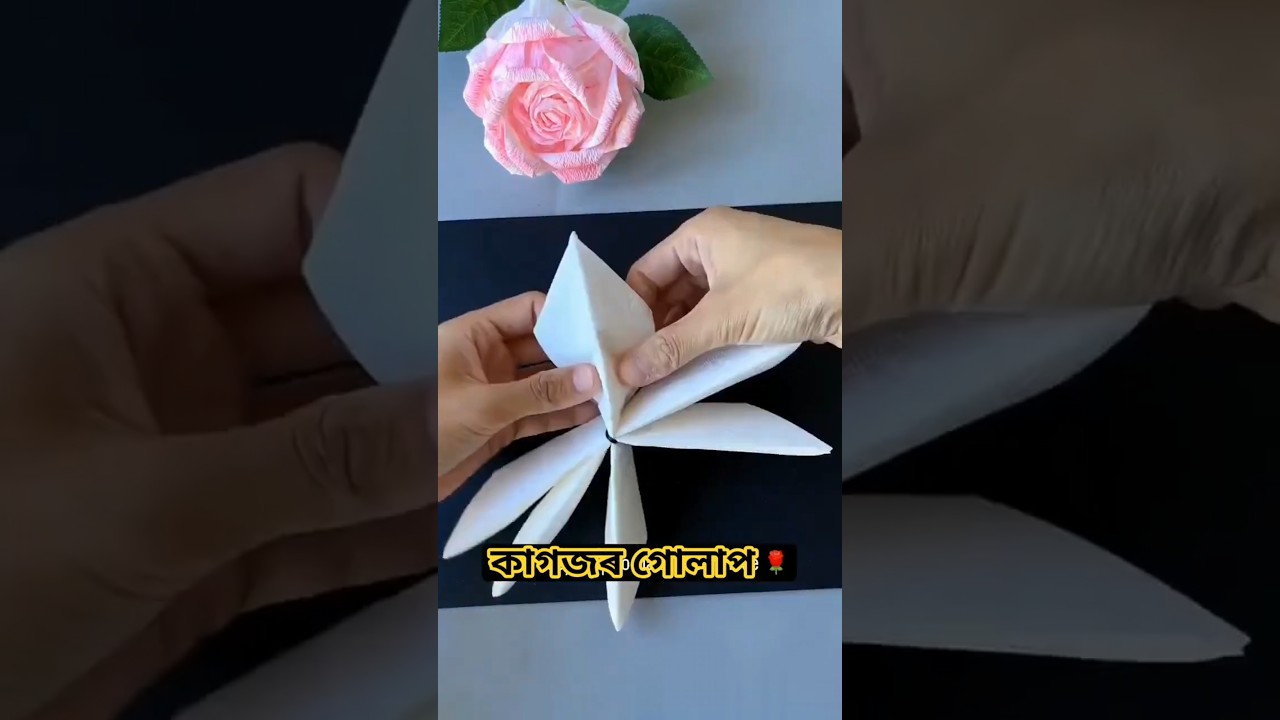 #rose