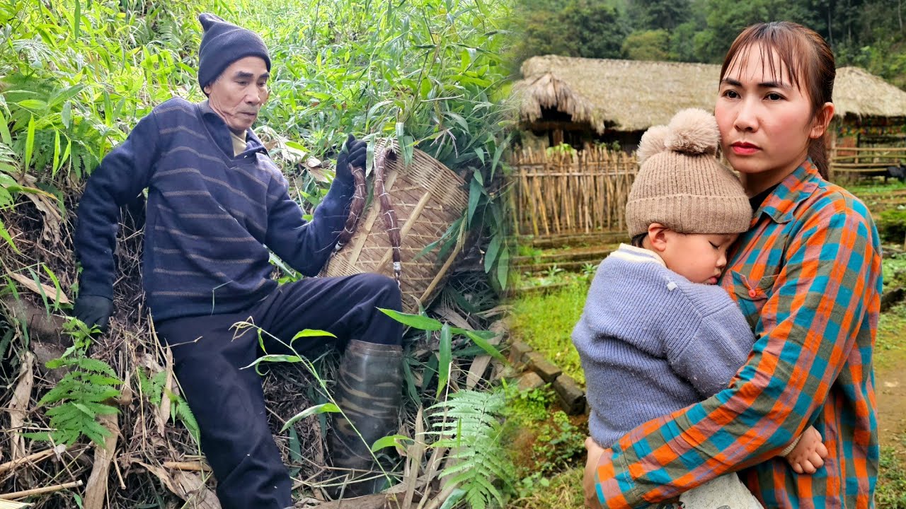 Grandpa's hard work: Digging and processing delicious yams for sale - Animal care | Mountain life