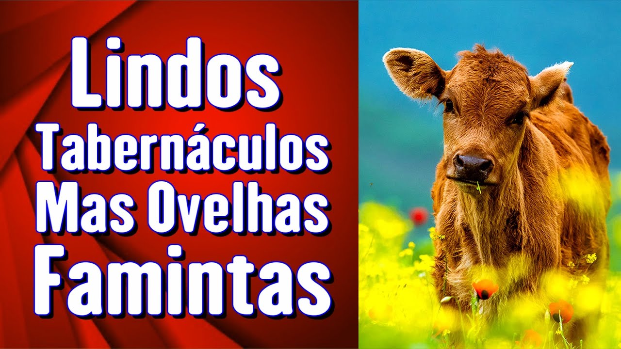 Ленивые и поверхностные пасторы — брат Бранхам